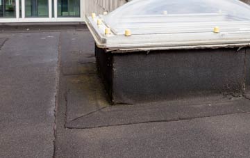 disadvantages of Maes Llyn flat roofs