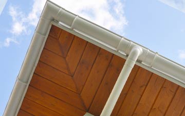 Maes Llyn soffit types